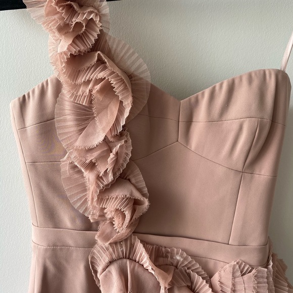 Beautiful nude BCBG dress tags on - Picture 3 of 6